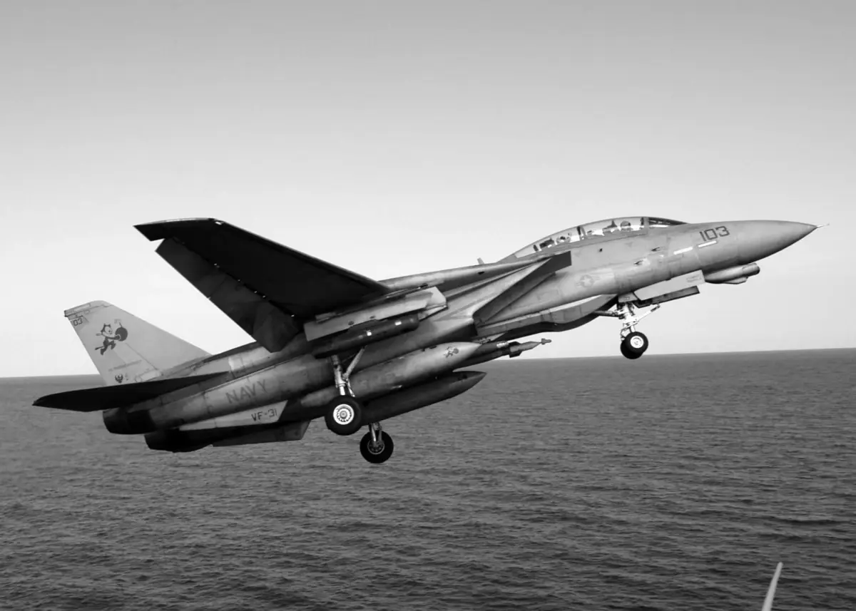 Grumman F-14 Tomcat
