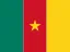 Flag of Cameroon