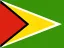 Flag of Guyana