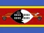 Flag of Eswatini