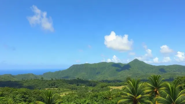 US Embassy Issues Warning to Tongan Women Considering Birth Tourism