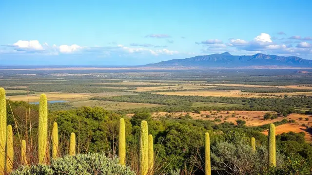 Business Travel to Madagascar: New Safety and Visa Guidelines