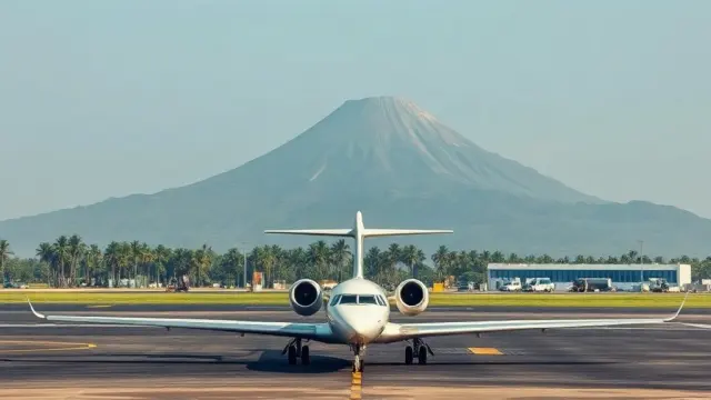 ICE Charter to Equatorial Guinea to Expel 25, Not Return Jailed Man