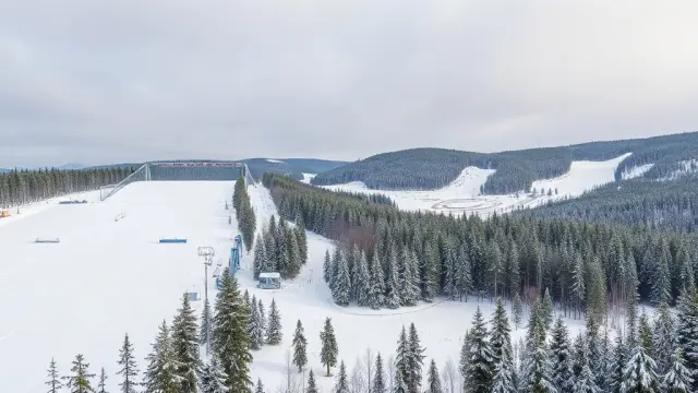 Belarusian athletes may be refused Swedish visas for Falun ski championships