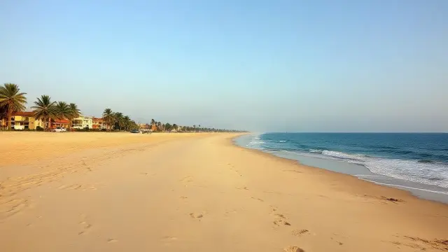 Gambia tightens resort oversight after harassment and unlicensed trade complaints