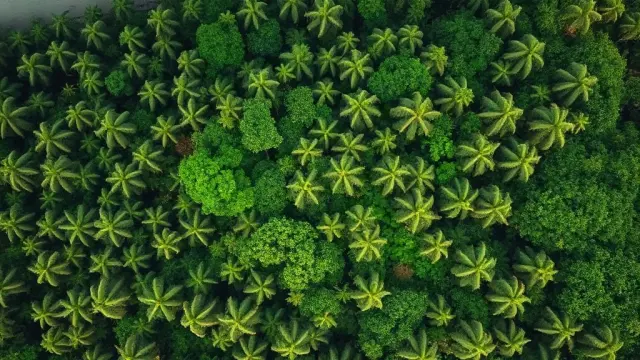 São Tomé and Príncipe Implements New Conservation Model