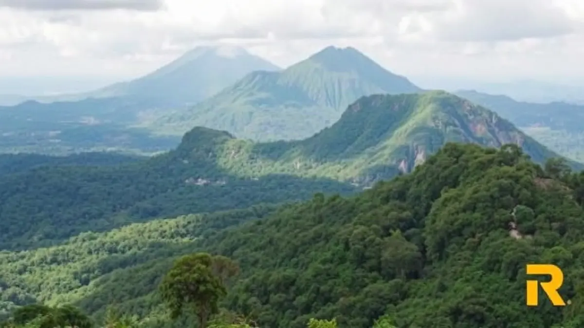 Essential Tips for Gorilla Trekking in Rwanda