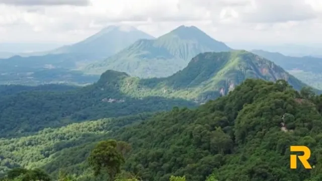 Essential Tips for Gorilla Trekking in Rwanda