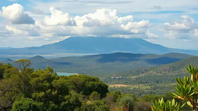 Madagascar Sees Increase in Tourist Arrivals Amid Political Instability