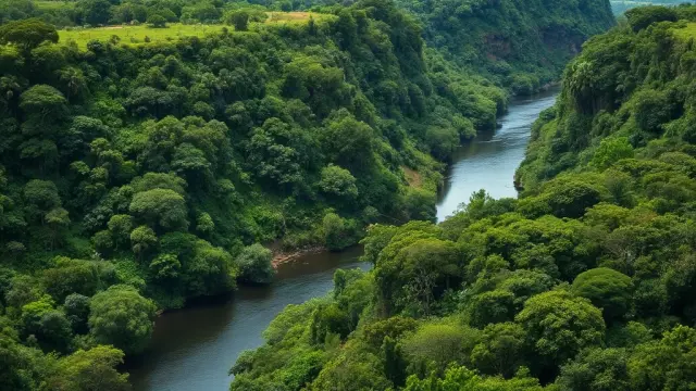 Republic of the Congo to Launch e-Visa and ETA Systems for Travelers