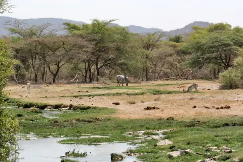 Buffalo Springs National Reserve
