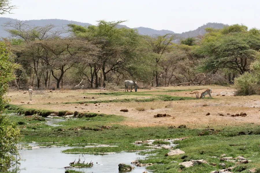 Buffalo Springs National Reserve