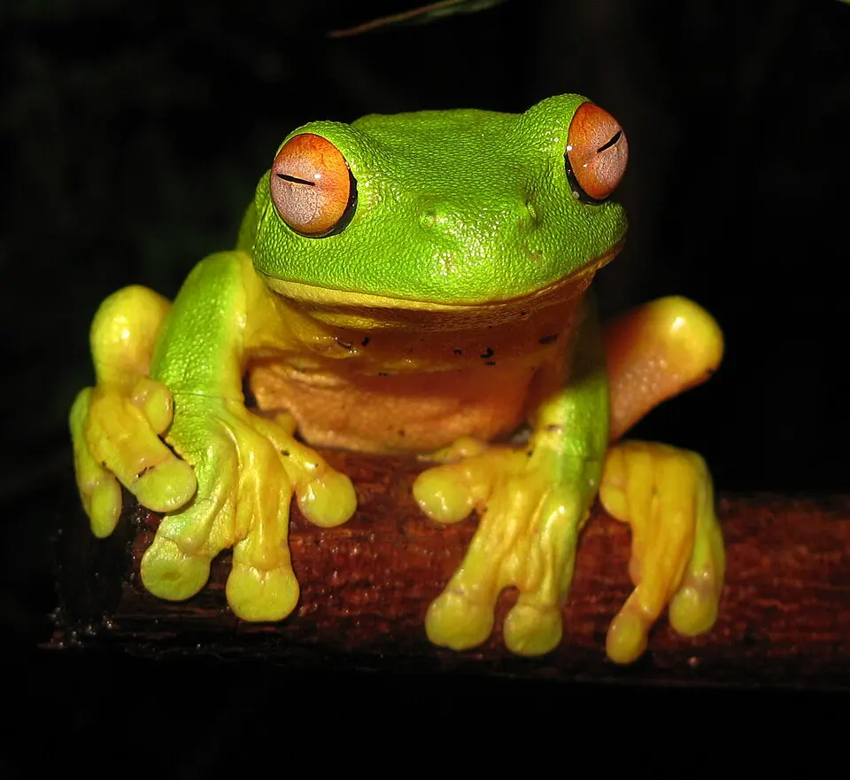Bulburin National Park