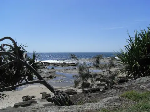 Bundjalung National Park