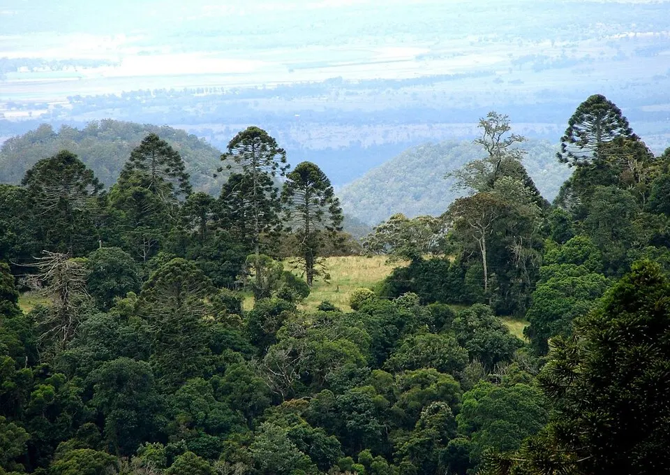 Bunya Mountains National Park