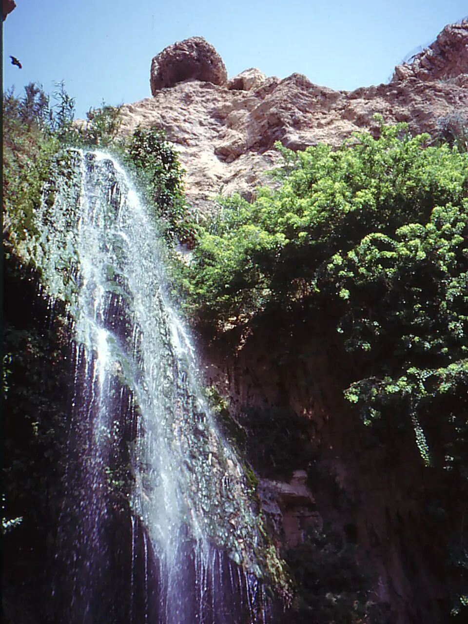Ein Gedi