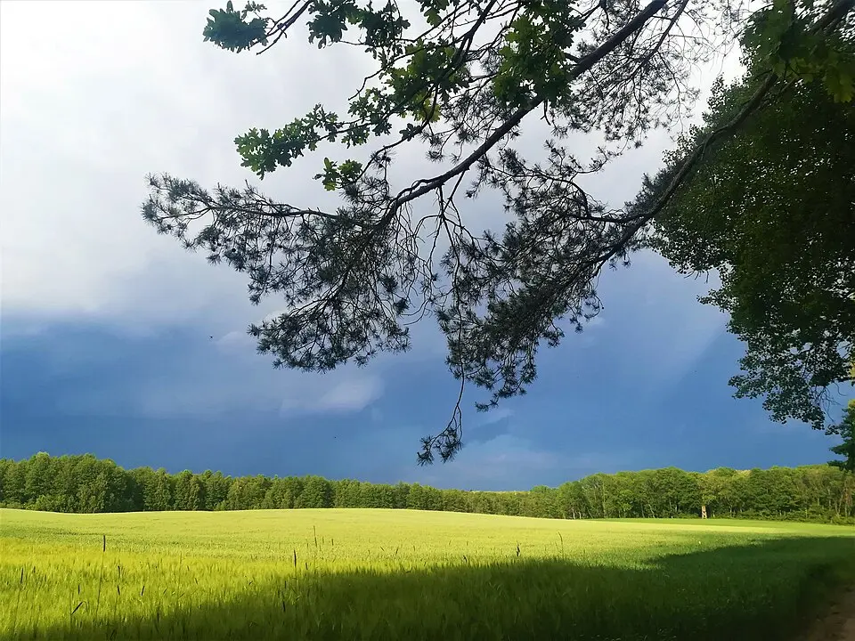 Wielkopolska National Park