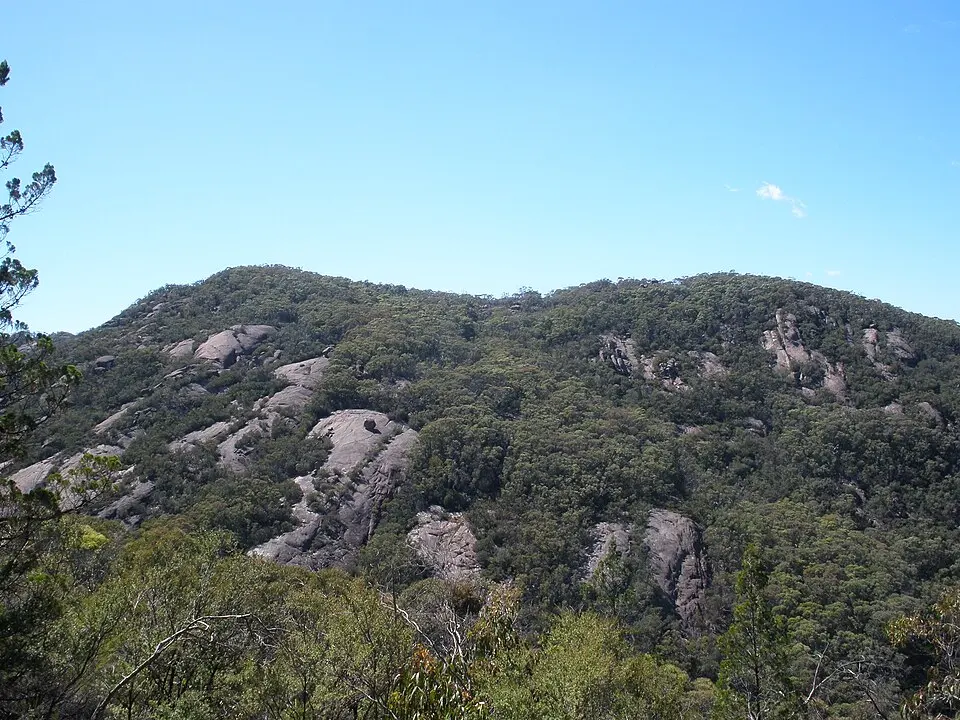 Burrowa - Pine Mountain National Park