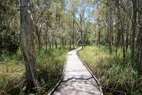 Burrum Coast National Park