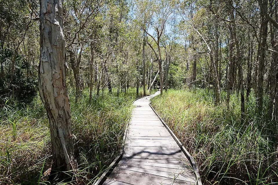 Burrum Coast National Park