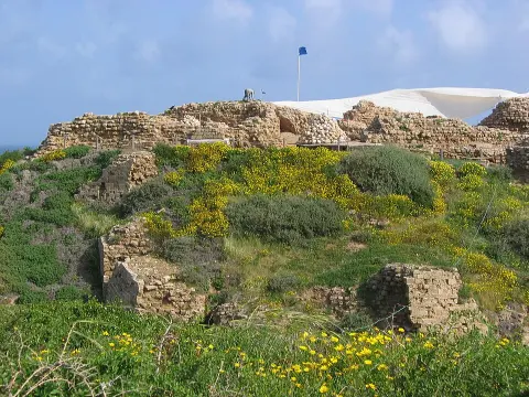 Arsuf