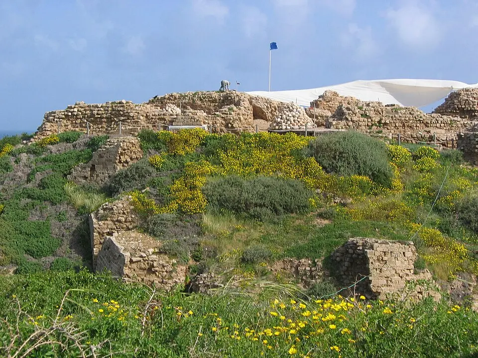 Arsuf