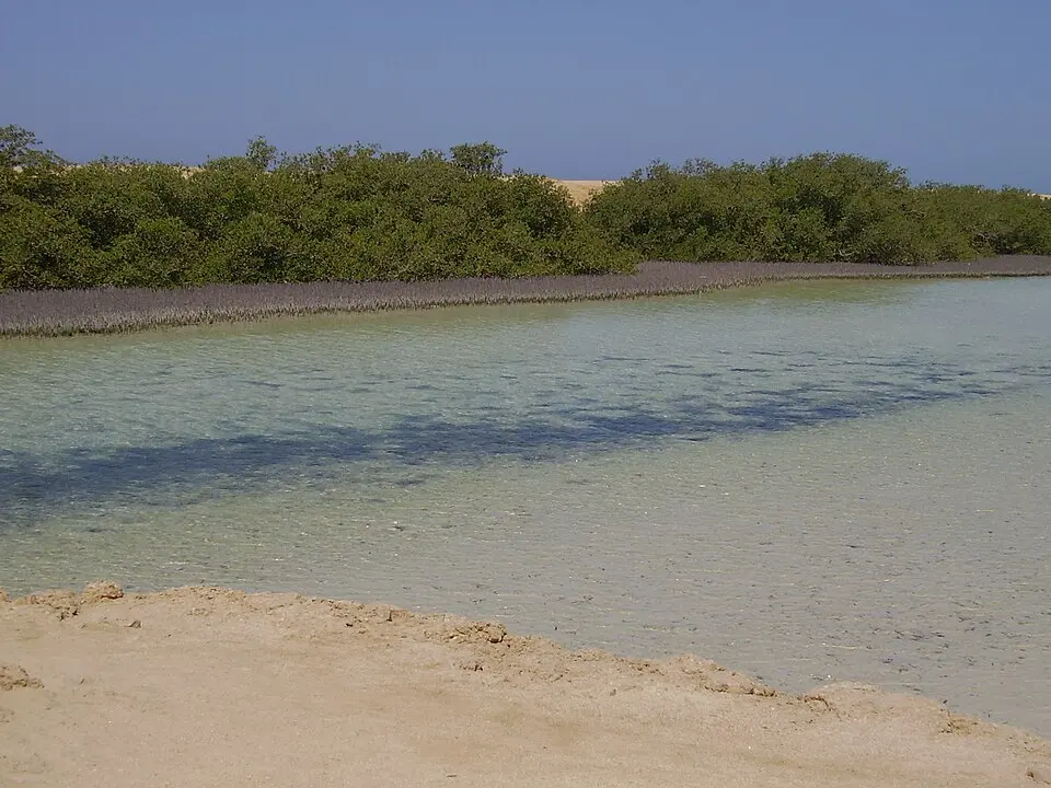 Ras Muhammad National Park