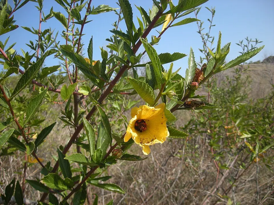 Capricorn Coast National Park