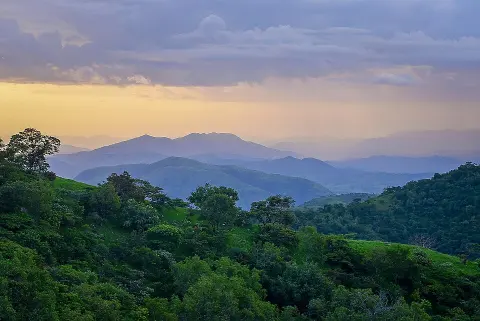 Gashaka-Gumti National Park