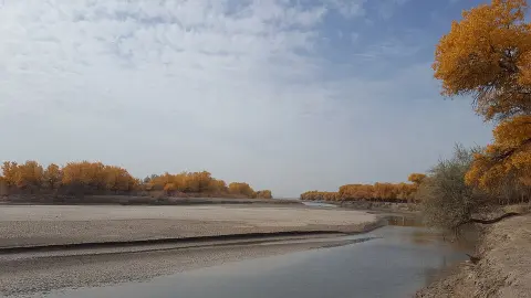 Xorazm National Natural Park
