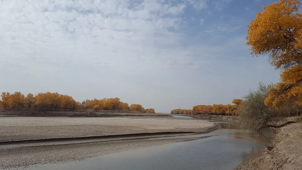 Xorazm National Natural Park