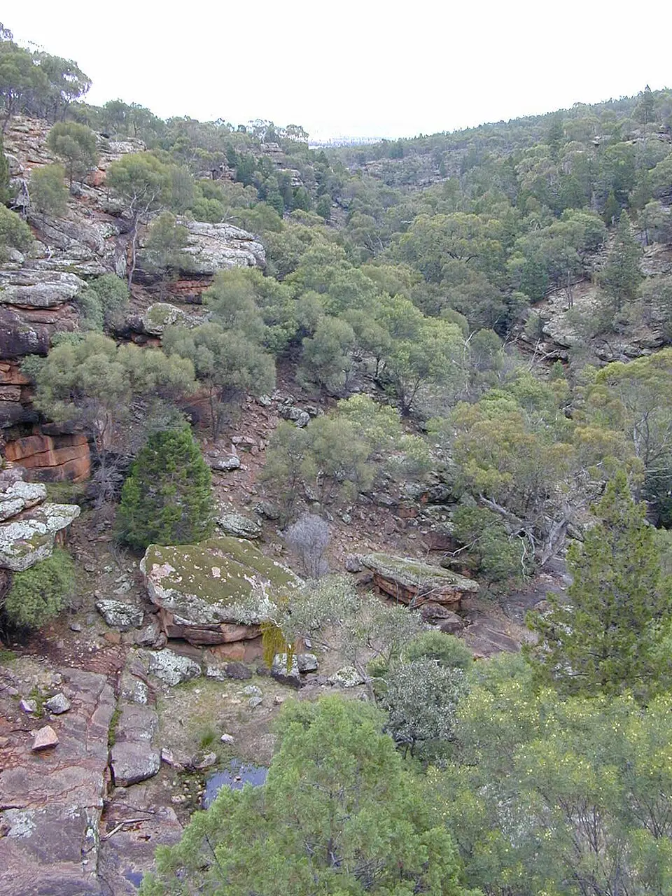 Cocoparra National Park