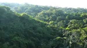 Chad Basin National Park