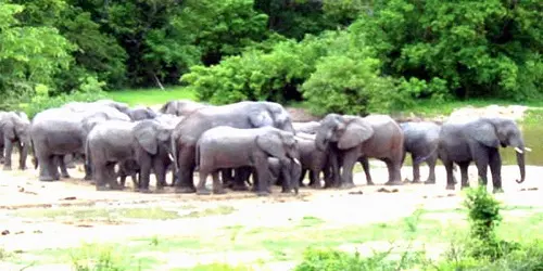 Kamuku National Park