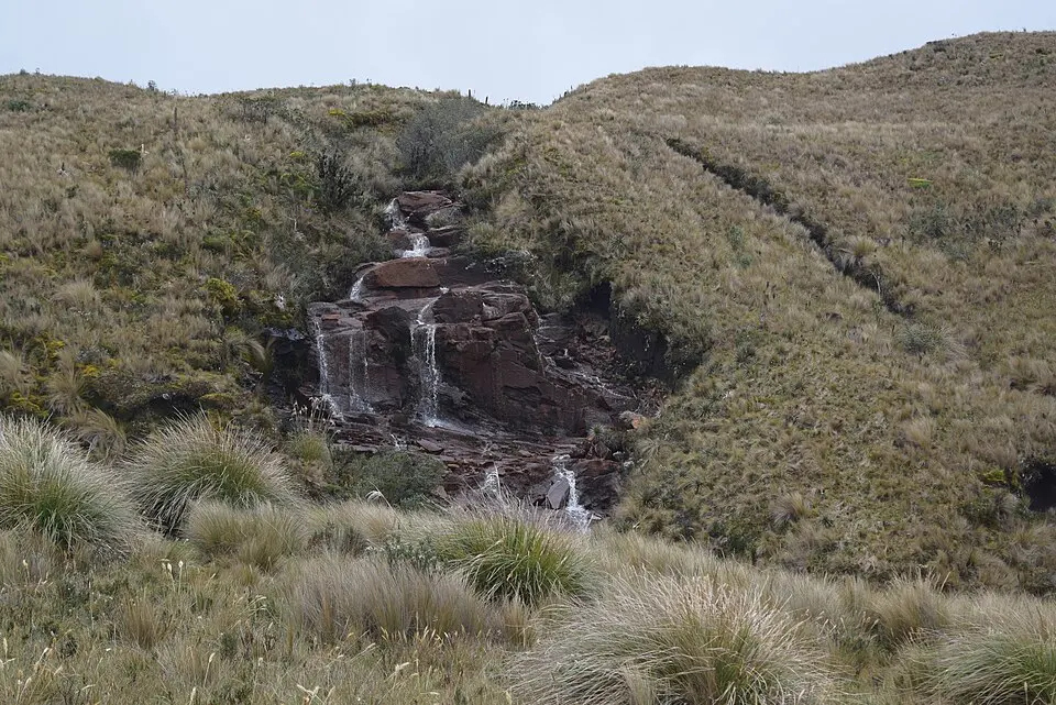 Llanganates National Park