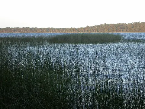 Yuraygir National Park