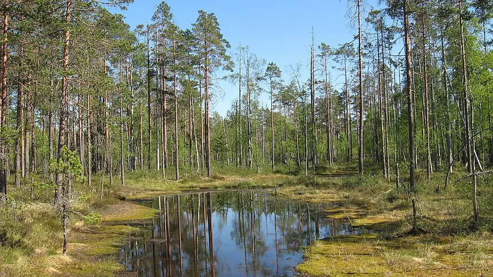 Lauhanvuori National Park