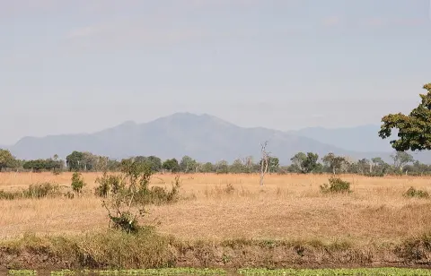 Mikumi National Park