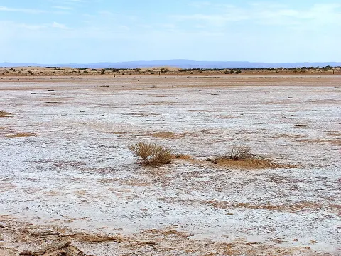 Lake Frome National Park