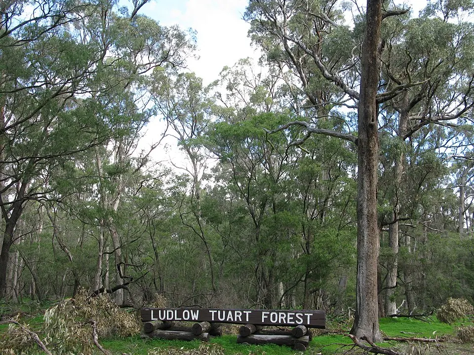 Tuart Forest National Park