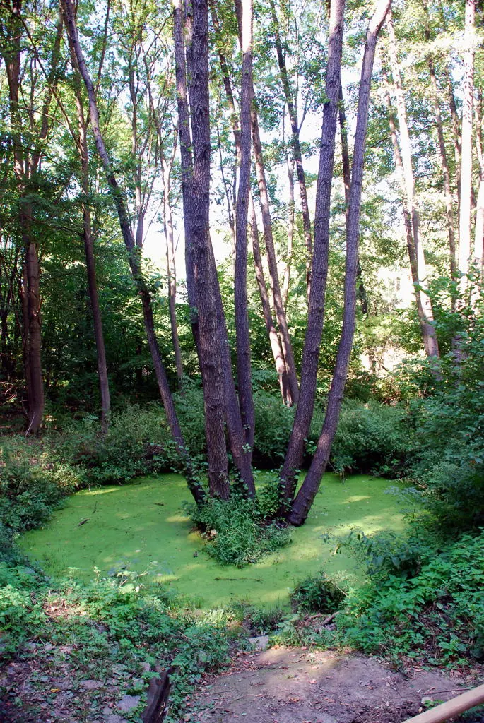 Kholodnyi Yar National Nature Park