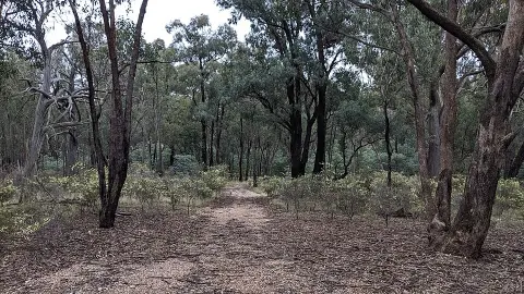 Jindalee National Park