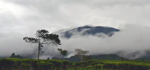 Mount Gede-Pangrango National Park