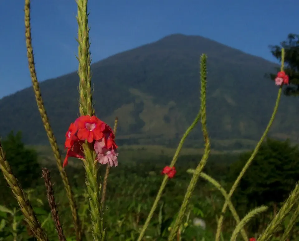 Mount Ciremai National Park