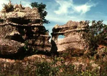 Sierra de la Macarena National Nature Park