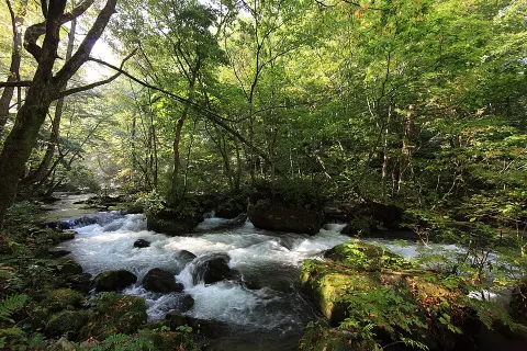 Towada-Hachimantai National Park