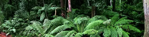 Alfred National Park