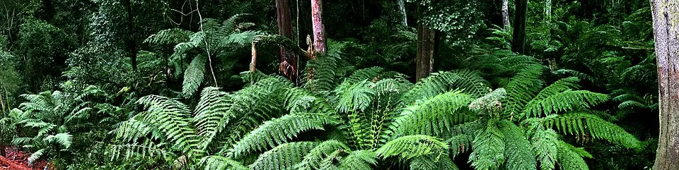 Alfred National Park