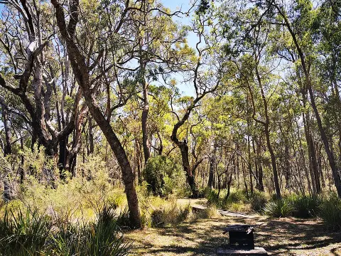 Kings Plains National Park
