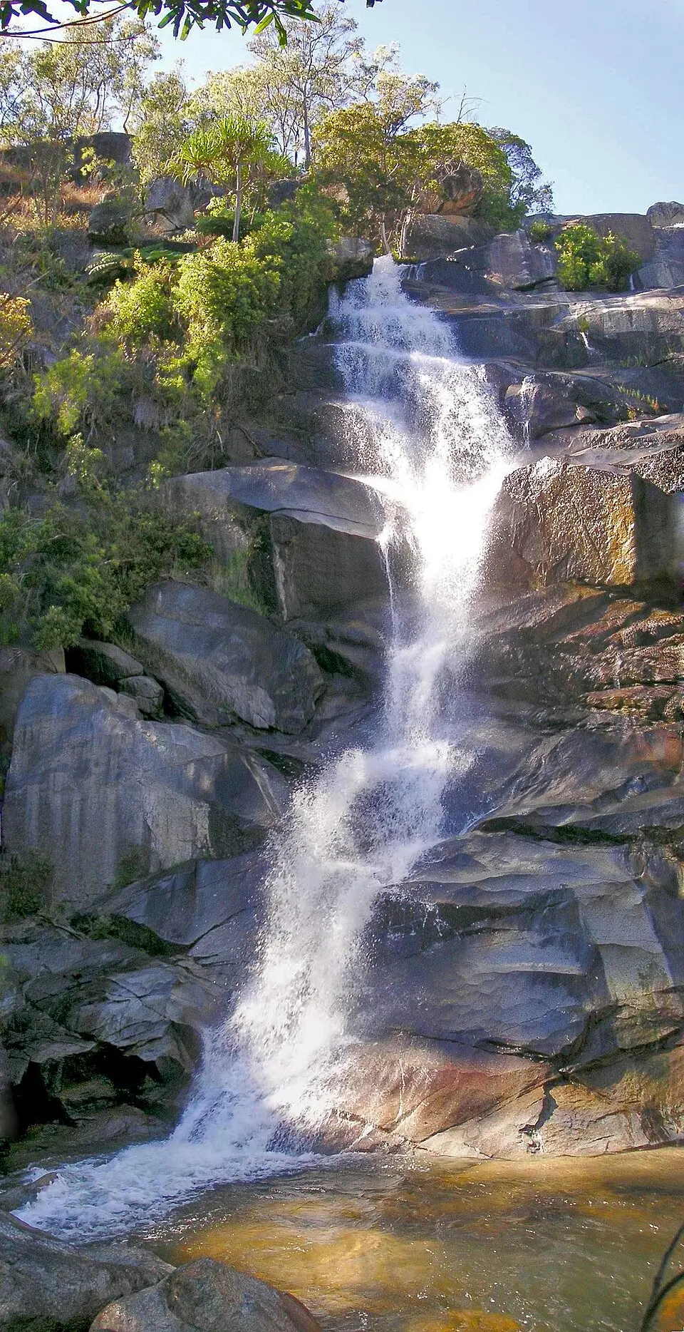Davies Creek National Park